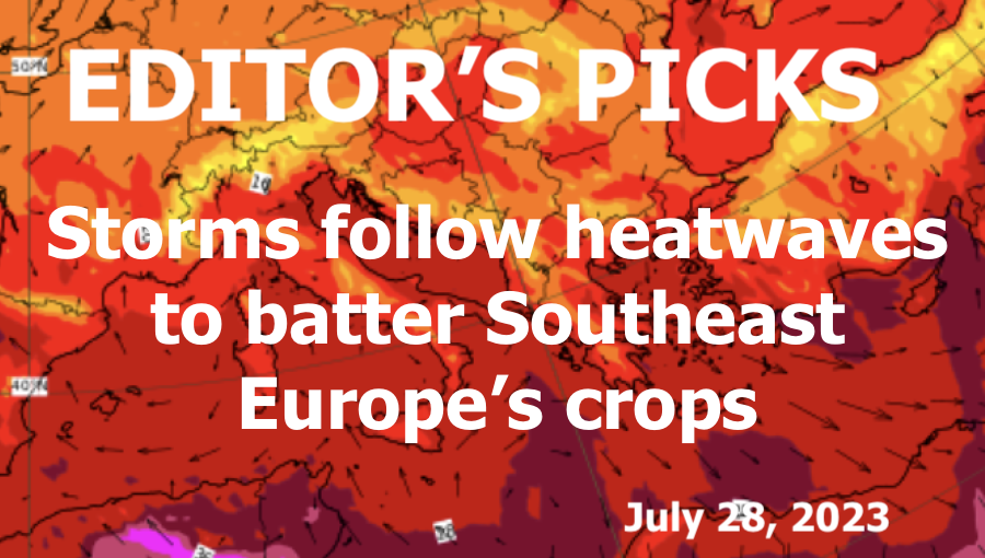 bne IntelliNews Editor's Picks – Storms follow heatwaves to batter Southeast Europe’s crops