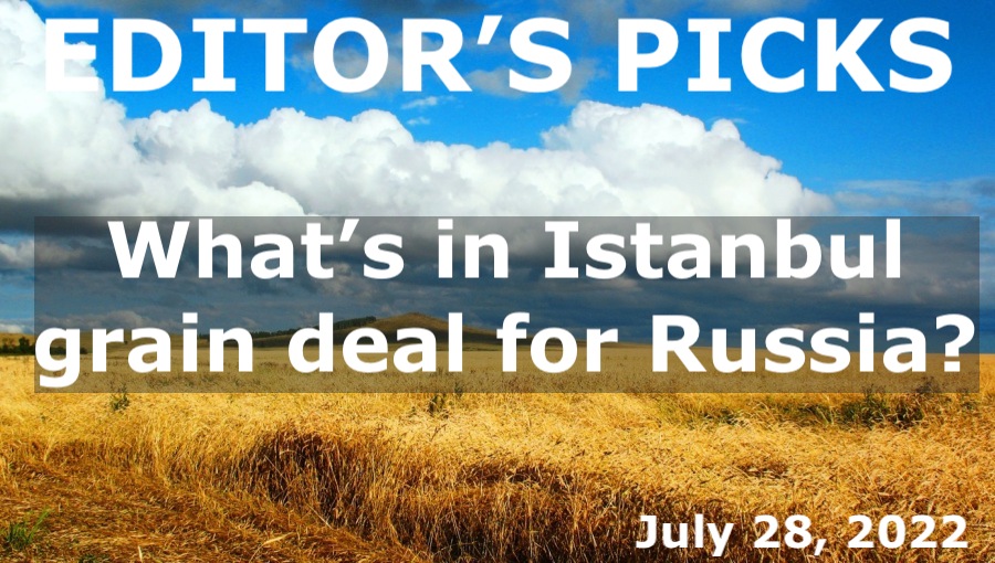 bne IntelliNews Editor's Picks – What’s in Istanbul grain deal for Russia?