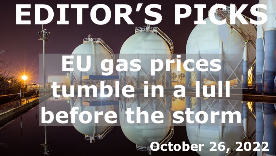 bne IntelliNews Editor's Picks --  EU gas prices tumble in a lull before the storm