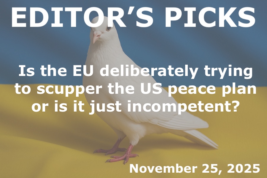 bne IntelliNews Editor's Picks – COMMENT: Is the EU deliberately trying to scupper the US peace plan or is it just incompetent?