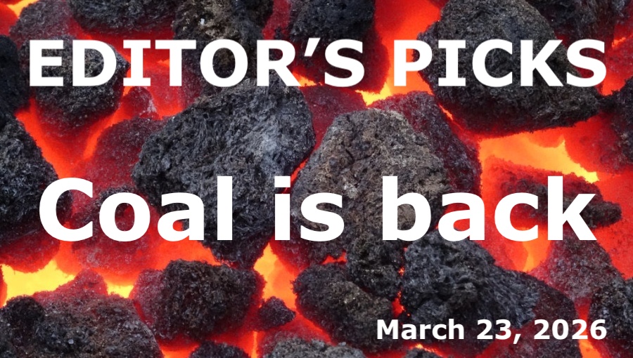 bne IntelliNews Editor's Picks – Coal is back