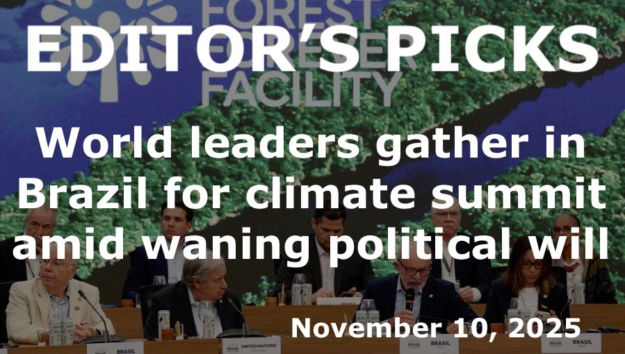bne IntelliNews Editor's Picks – World leaders gather in Brazil for climate summit amid waning political will